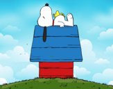 Snoopy durmiendo