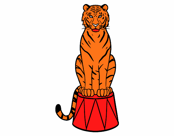 Tigre de circo