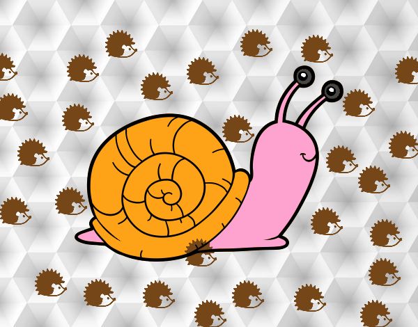 Un caracol