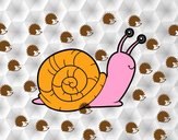 Un caracol