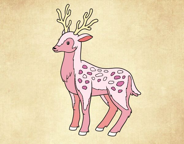 Dibujo Un ciervo joven pintado por SHEERAN