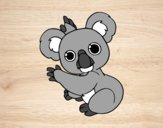 Un Koala