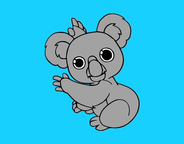 Un Koala