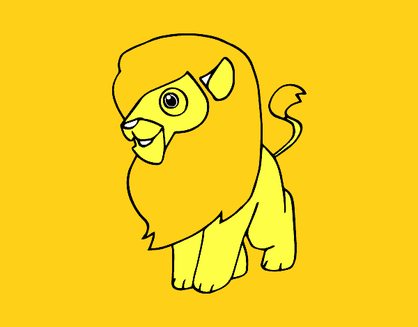 Un león