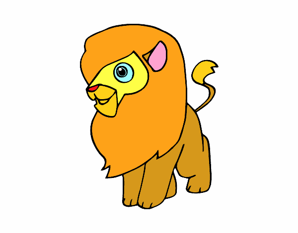 Un león