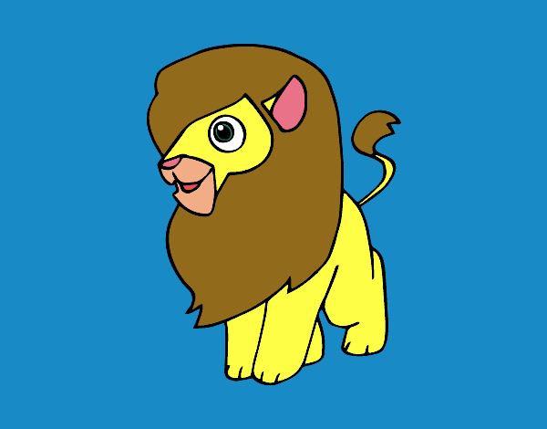 Un león