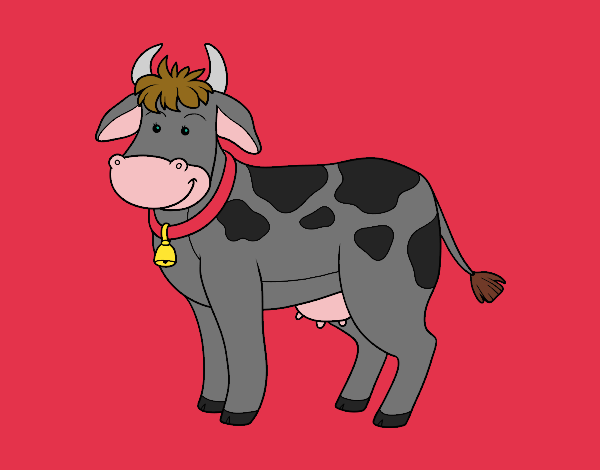 Vaca de granja