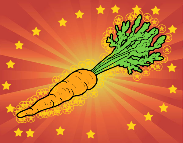 Zanahoria ecológica