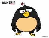 Dibujo Bomb de Angry Birds pintado por senid