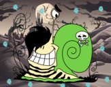 Caracol Emo