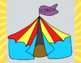 Circo