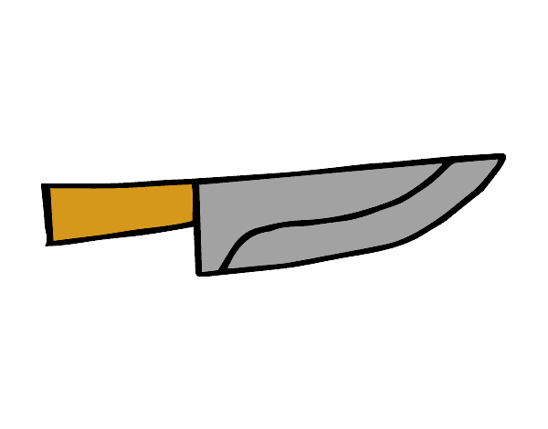 Cuchillo cocinero