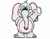 Elefante 2