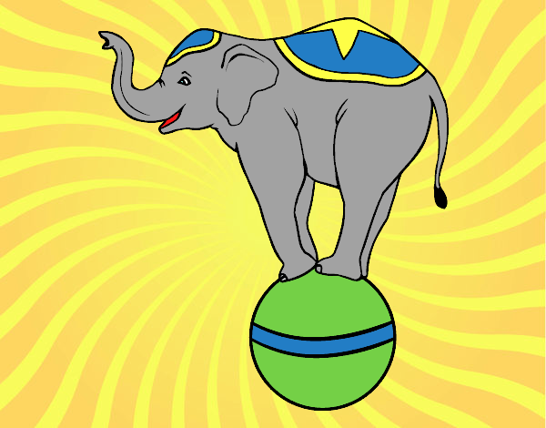 Elefante equilibrista