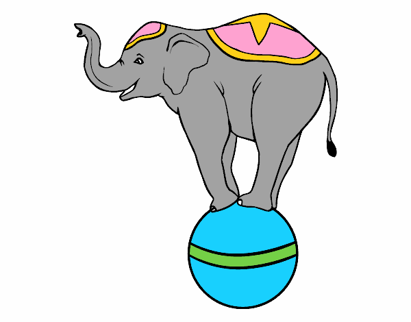 Elefante equilibrista