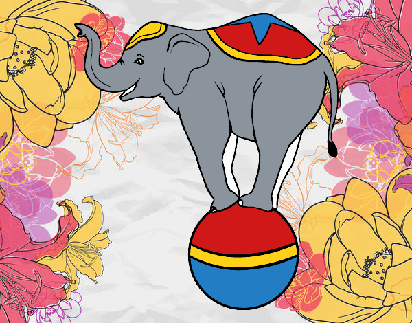 Elefante equilibrista