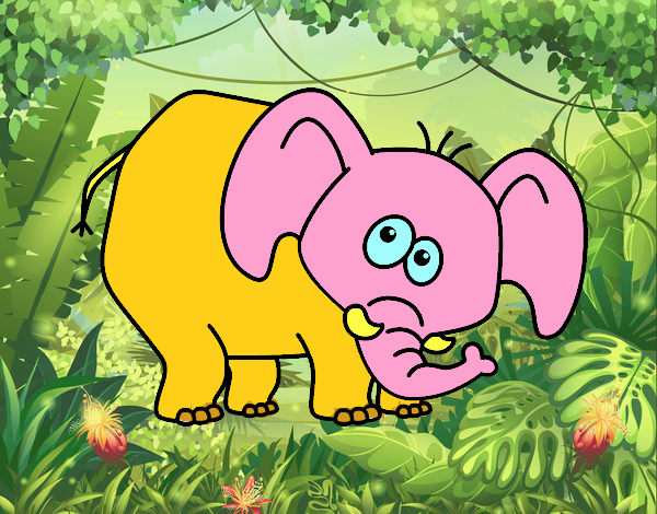 Elefante vergonzoso