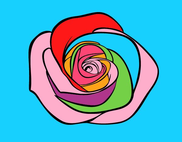 la rosa arco iris