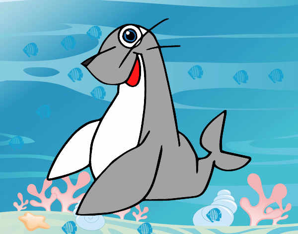 Foca monje