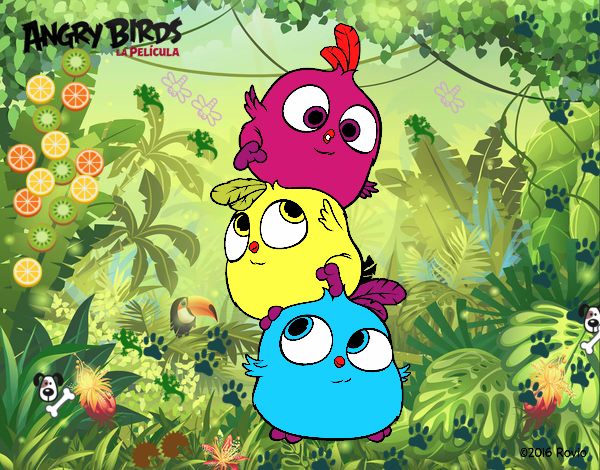 Las crias de Angry Birds