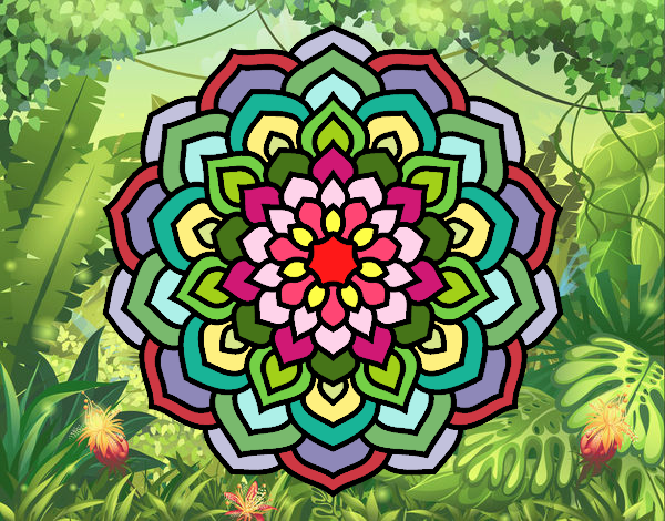 Dibujo Mandala pétalos de flor pintado por colibri49