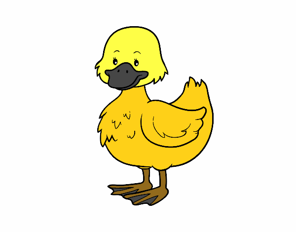 Patito de granja