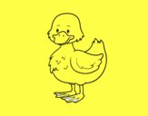 Patito de granja