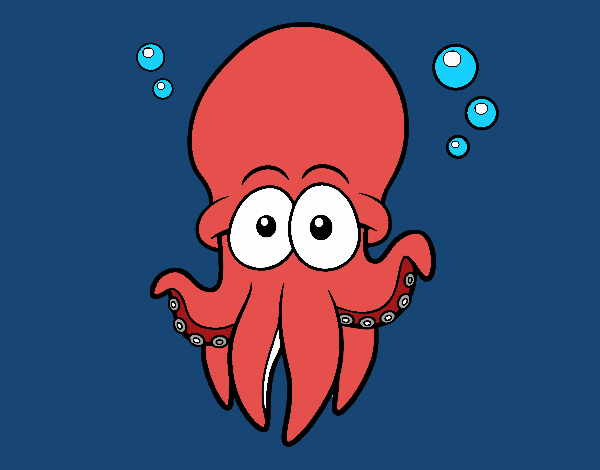 Pulpo rojo