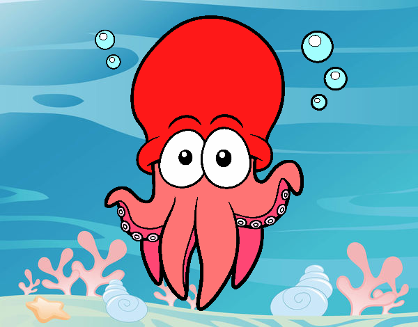 Pulpo rojo