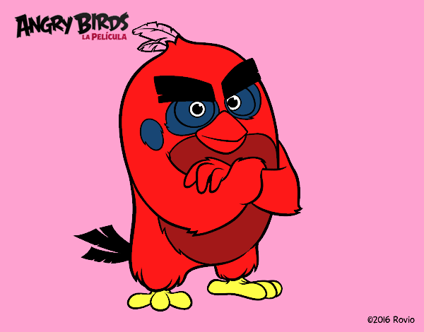 Red de Angry Birds