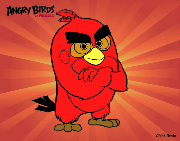 Red de Angry Birds