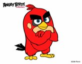 Dibujo Red de Angry Birds pintado por senid