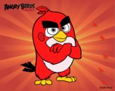 Red de Angry Birds