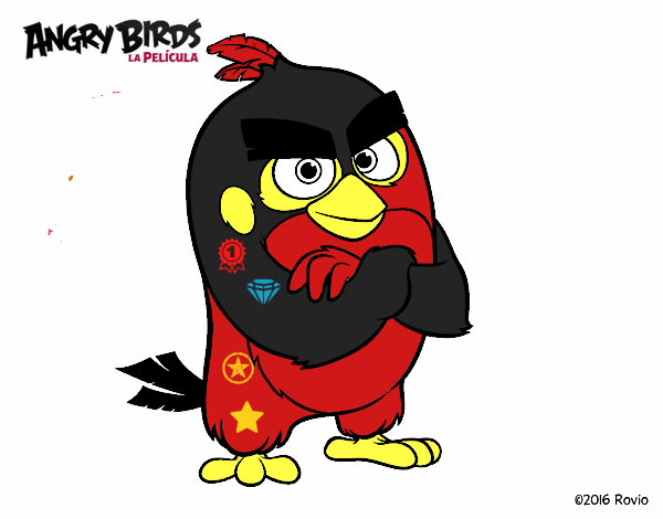 Red de Angry Birds