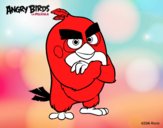 Dibujo Red de Angry Birds pintado por MARCOS2008