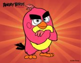 Red de Angry Birds