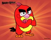 Red de Angry Birds