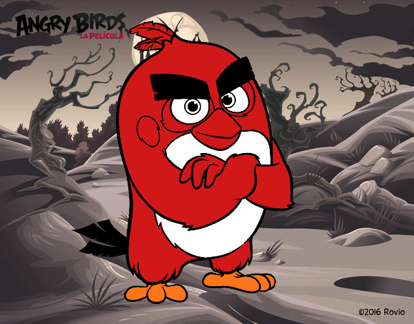 Red de Angry Birds