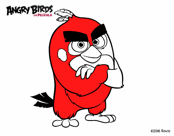 Red de Angry Birds