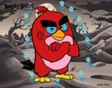 Red de Angry Birds