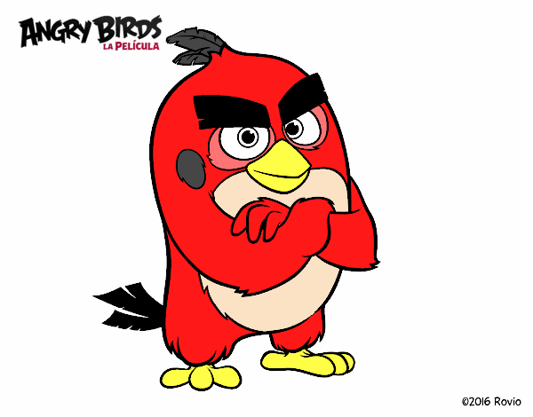 Red de Angry Birds