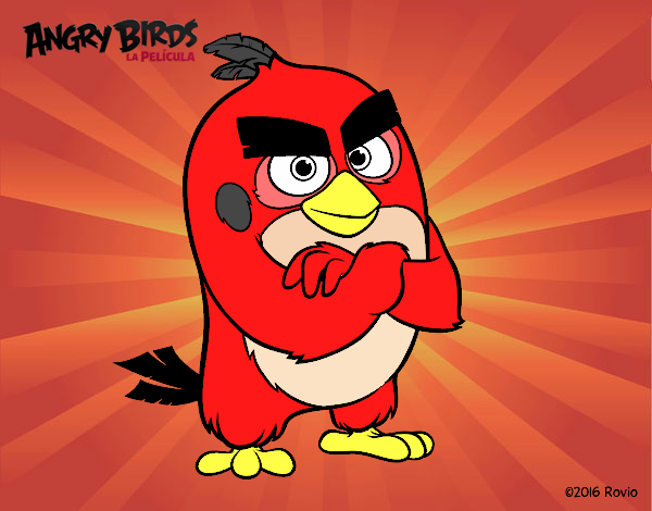 Red de Angry Birds