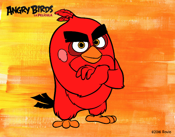 Red de Angry Birds