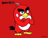 Red de Angry Birds