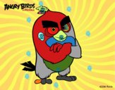 Red de Angry Birds