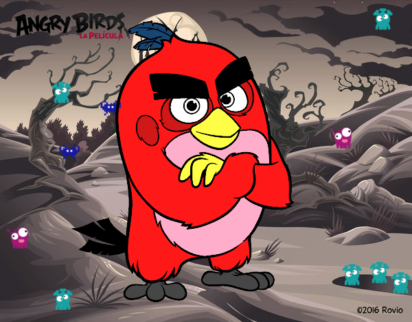 Red de Angry Birds