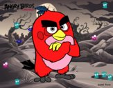 Red de Angry Birds