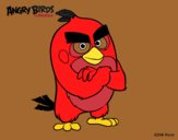 Red de Angry Birds