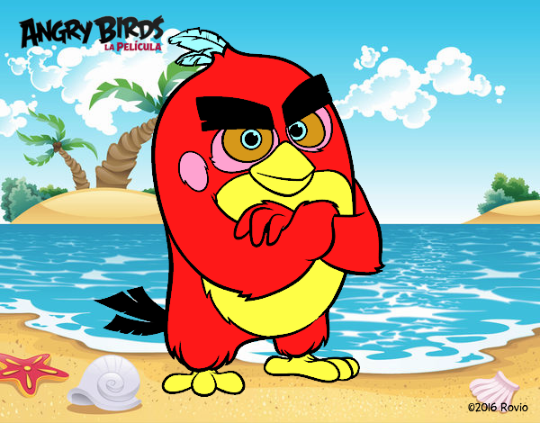 Red de Angry Birds