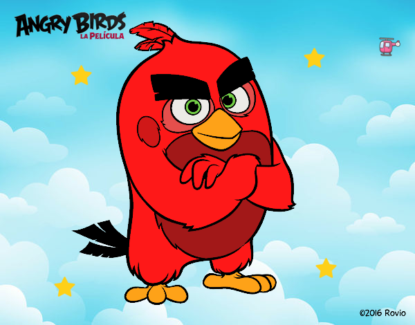 Red de Angry Birds